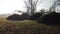 Moers , Germany - January 18 2019 : Pile of manure steaming in the field