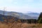 Mogielica Peak - Beskid Wyspowy, Poland