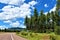 Mogollon Rim, Highway 260, Yavapai County, State of Arizona, United States