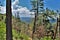 Mogollon Rim, Sitgreaves Forest, Yavapai County, State of Arizona, United States