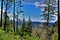 Mogollon Rim, Sitgreaves Forest, Yavapai County, State of Arizona, United States