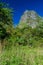 Mogote limestone hill covered by vegetation in Vinales valley, Cub