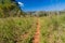 Mogotes limestone hill and fields in Vinales valley, Cub