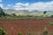 Mogotes limestone hill and fields in Vinales valley, Cub