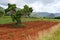 Mogotes in Vinales Valley Cuba.