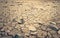 Mohave Desert Dry Cracked Desert Earth Wasteland Dramatic Shot