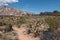 Mohave National Preserve, desert landscape