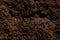 Moist raw watery river sand texture background dark brown