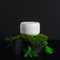 Moisturizing cream jar and greenery side view. Natural cosmetology product, organic cosmetics creative concept. Detailed white