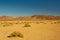 Mojave Desert