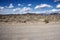 Mojave Desert Landscape, Nevada