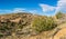 Mojave Desert Nature Wilderness