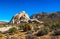 Mojave Monzonite Rock Pile