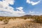 Mojave National Preserve Desert Landscape