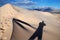 Mojave sand dunes