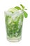 Mojito isolated on a white