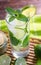 Mojito Lime Alcoholic Drink Cocktail