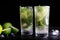 Mojito traditional summer vacation refreshing cocktail alcohol drink in highball glass