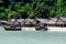 The Moken Sea Gypsy Village at Koh Surin on the Mu Ko Surin National Park,