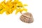 Mokkara yellow Orchid flower and Sea shell on white