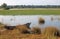 MOKORO BOAT IN THE WATER IN A SWAMPY WETLAND AREA