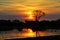 Mokoro in the Okavango delta at sunset, Botswana