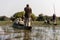 Mokoro ride in the okawango delta in Botswana in africa