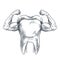 Molar with arms and strong biceps, hand drawn