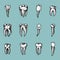 Molar teeth enamel, dental set. work of the dentist and care for children. oral cavity clean or dirty. health or caries