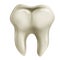 Molar tooth