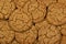 Molasses Cookies