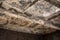 Mold growth and water stains on the ceiling of house.