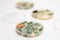 Mold samples on white background. A petri dish with colonies of microorganisms for bacteriological analysis in a