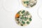 Mold samples on white background. A petri dish with colonies of microorganisms for bacteriological analysis in a