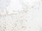 Mold on the surface of the bathroom. Dark mold close-up on bathroom enamel. Dirty white surface. The concept of the appearance of