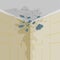 Mold on walls and ceiling. Mold on wall in bathroom or living room. Mildew in shower.