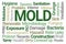 Mold Word Cloud