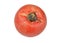 Molded red tomato