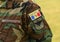 Moldova army uniform patch flag. Moldovan Army
