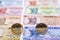 Moldovan Leu coins on the background of banknotes