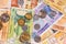 Moldovan leu. MDL banknotes and coins