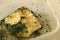 Moldy Cheese in a Plate, Moldy Green Cheese
