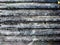 Moldy old bamboo slats, ideas for wallpapers and backgrounds