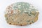 Moldy rotten bread on white background. Inappropriate attitude toward food, modern life, consumerism concept. Wasting food
