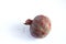 Moldy, spoiled pomegranate fruit on a light background. Copy space