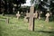 Moldy stone crosses in cemetery