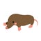 Mole animal cartoon character vector illustration