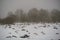 mole camuflage molehill pattern in the field with snow and mist