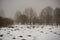 mole camuflage molehill pattern in the field with snow and mist