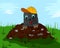 Mole with a cap on molehill